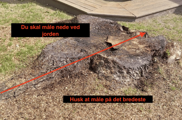 Sådan måler du en træstub der skal fræses